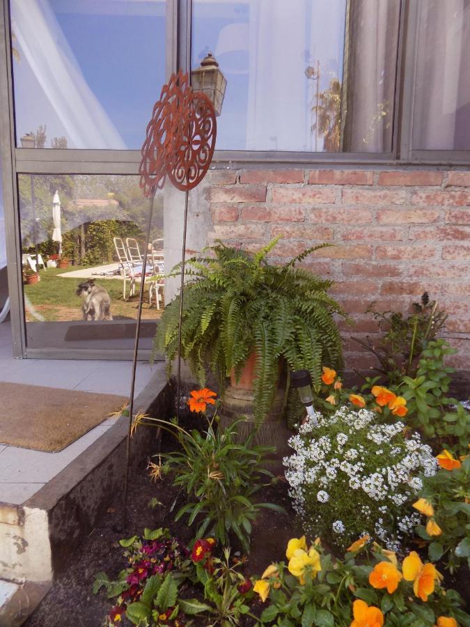 Apartmán Francisca Mendoza Exteriér fotografie